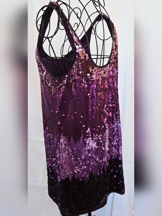 Express Tops - Express Purple and Pink Sequin Party Tank Sz L